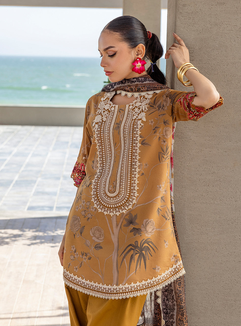 Zainab Chotani 3pc sl-zc-001